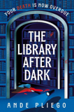 The Library After Dark By Ande Pliego