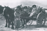 Tauranga Bay Picnic Party